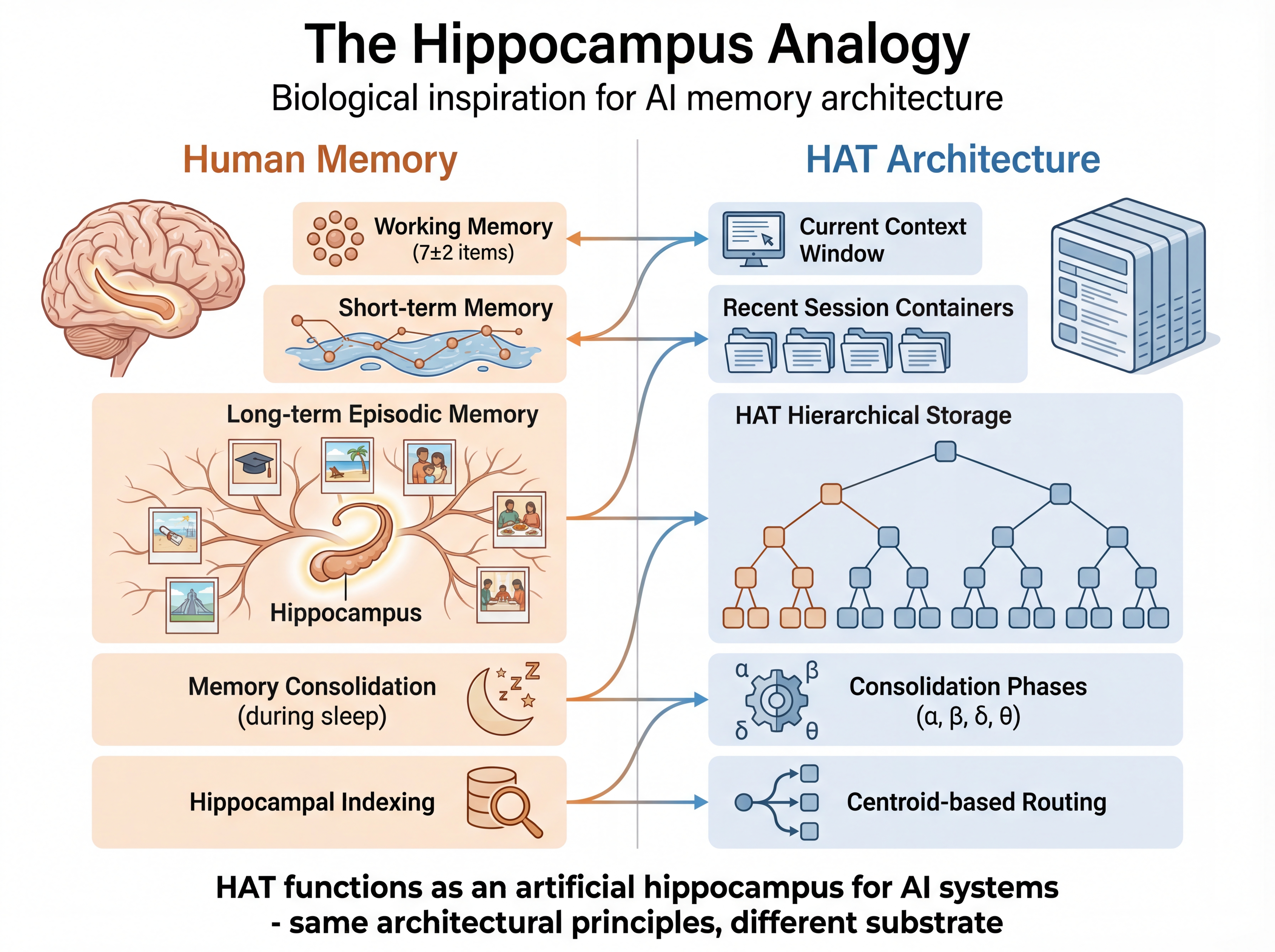 Hippocampus Analogy