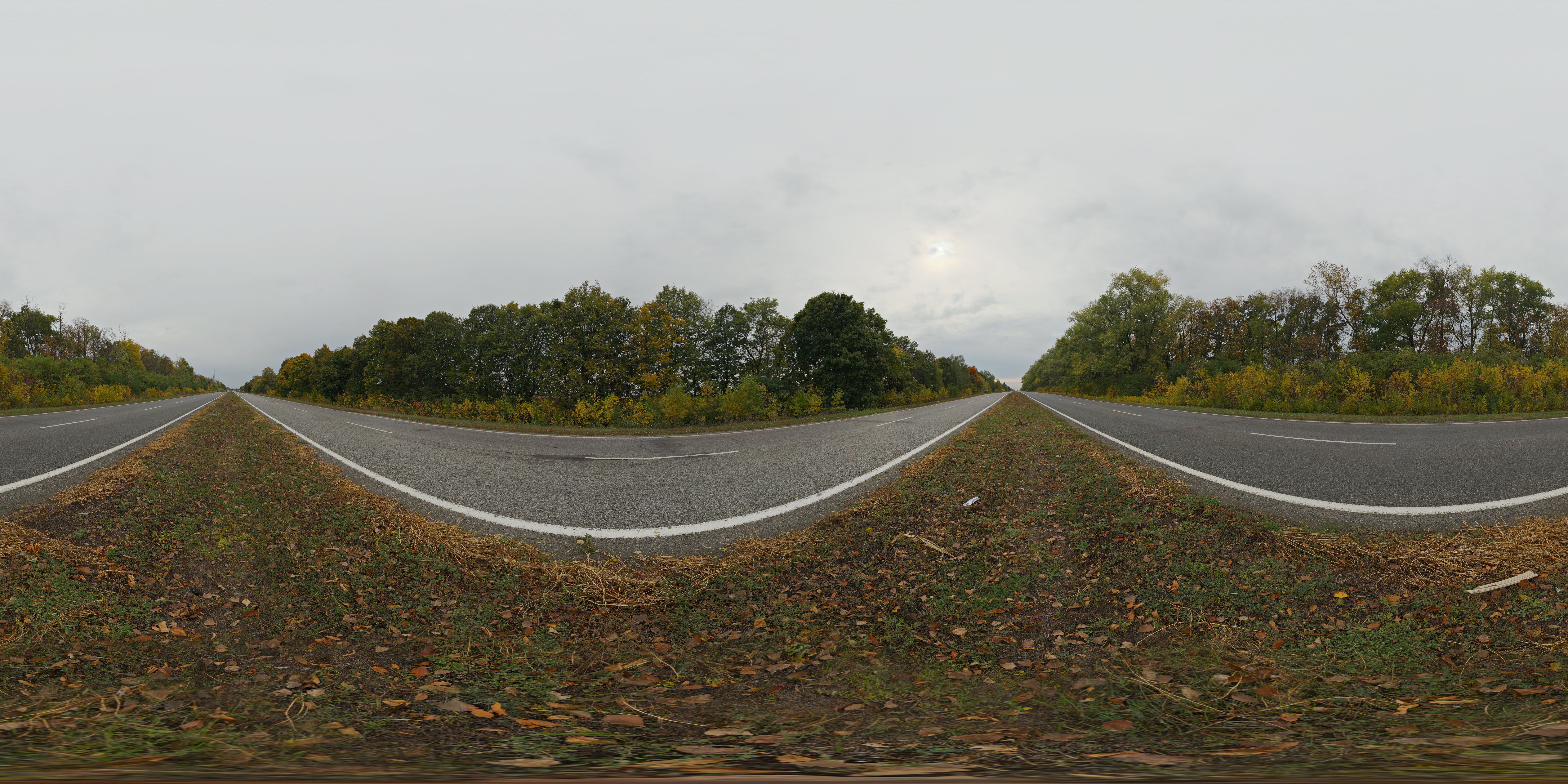 autumn_road_8k.png