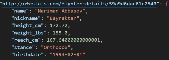 Fighter Basic Information