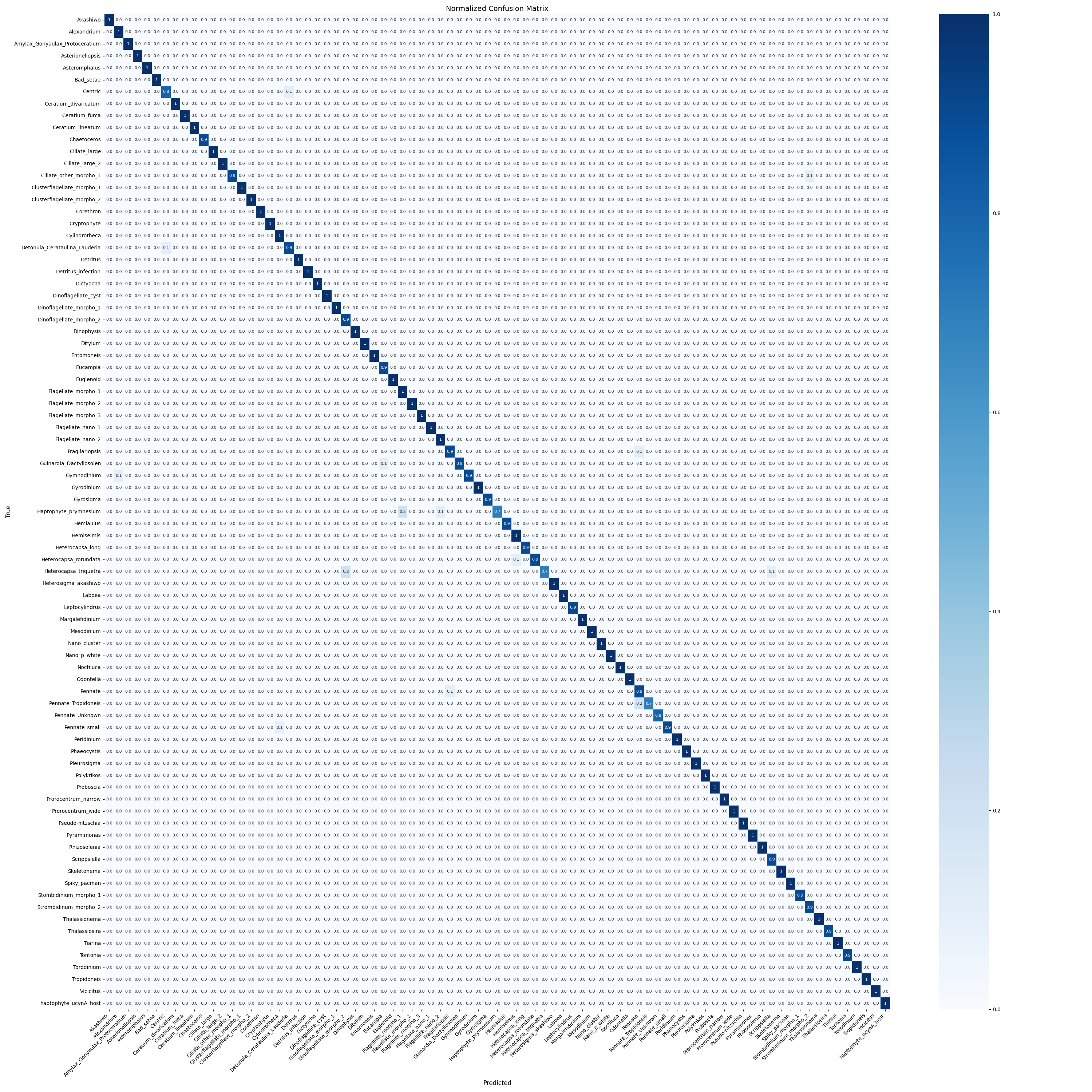 Confusion Matrix