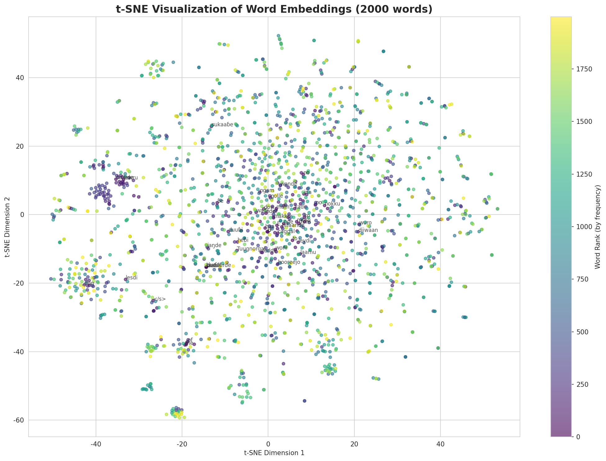 t-SNE Words