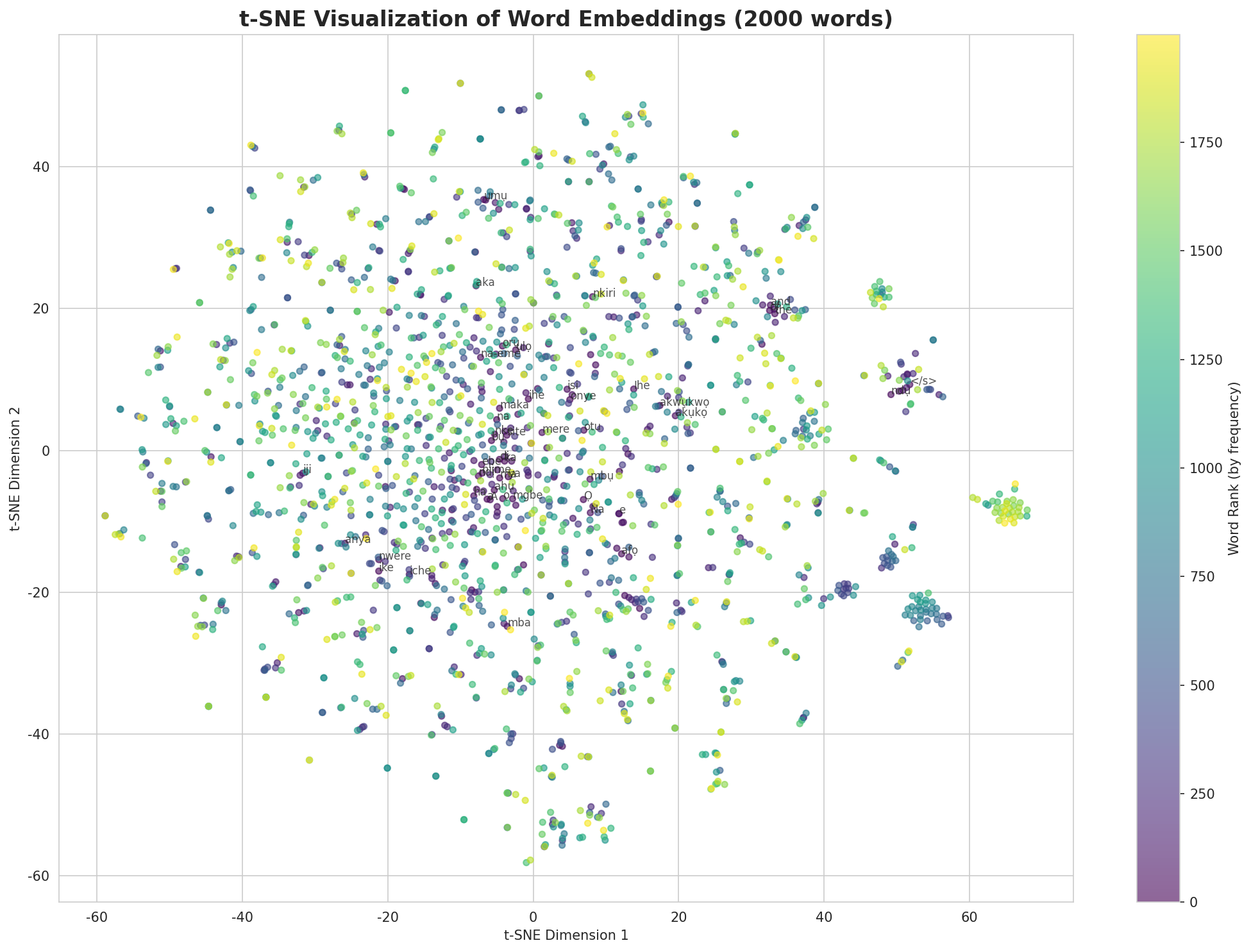 t-SNE Words